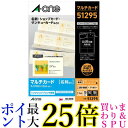 エーワン 名刺 マルチカード アイボリー 特厚口 100枚分 51295 送料無料 【G】