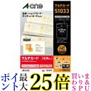 エーワン 名刺 マルチカード アイボリー 100枚分 51033 送料無料 【G】