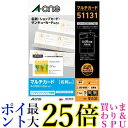 エーワン 名刺 マルチカード 100枚分 51131 送料無料 【G】