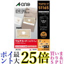 エーワン マルチカード キャッシュカードサイズ 10枚 51165 送料無料 【G】