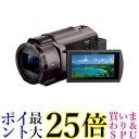 SONY ǥ4Kӥǥ쥳 FDR-AX45A(TI)