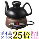テスコム 酒燗器 SK31(1台)