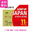 ソニーSONY ビデオ用ブルーレイディスク(11枚パック)11BNE3VZPS2 (BE-RE 3層 2倍速 100GB)