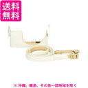 Panasonic DMW-BCSK4-W