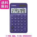 カシオ デンタク SL-300C-PL-N(1台)