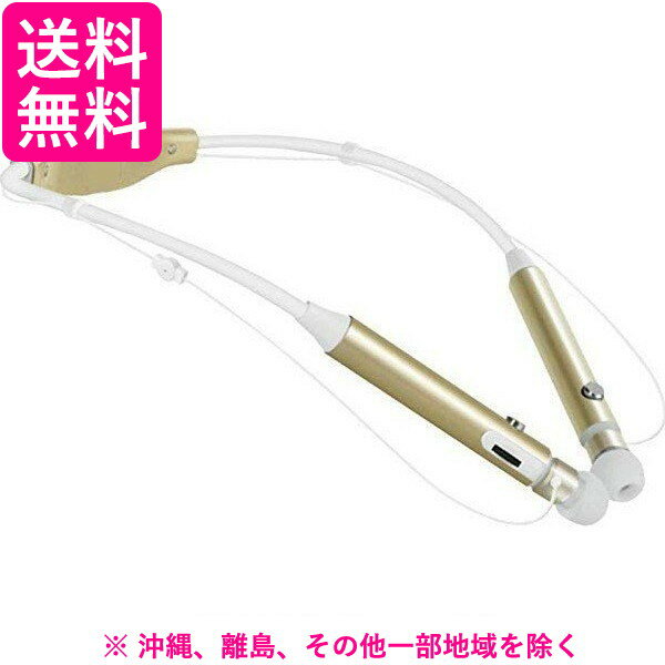 ケンブン スーパー集音器 シャンパンゴールド KBS0001(1コ入)