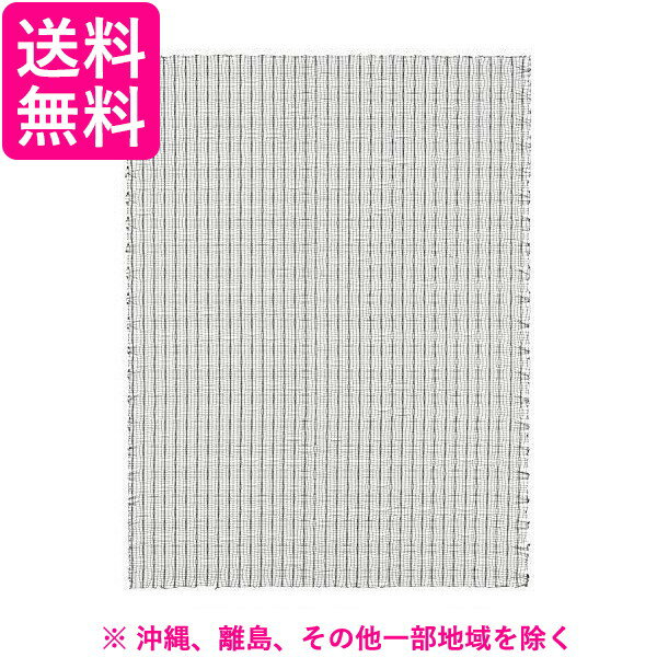 ダイニチ 除菌フィルター H060319(1枚入)