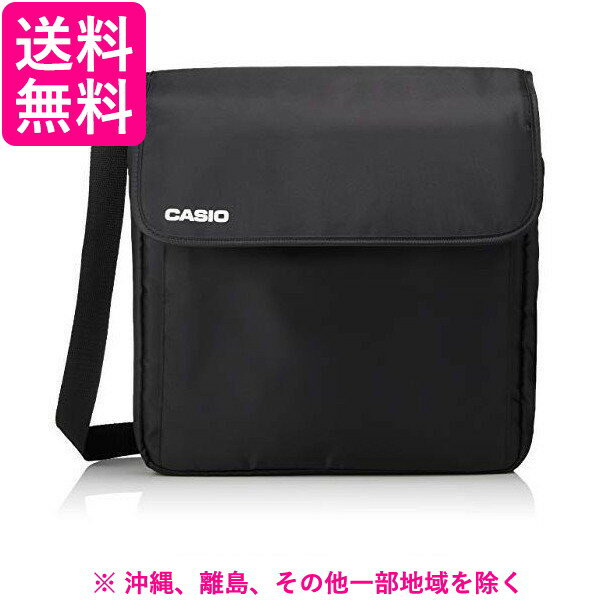 CASIO キャリングバッグ YB-2