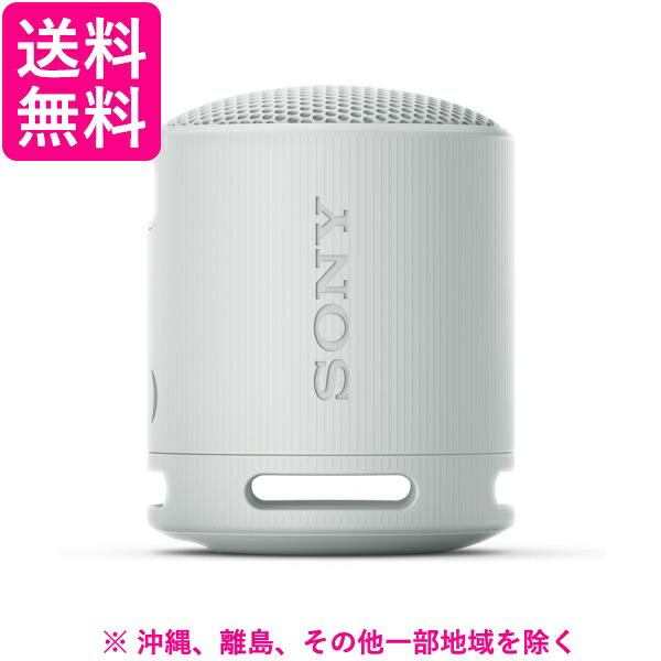 ワイヤレススピーカー SONY ワイヤレススピーカー SRS-XB100/HC