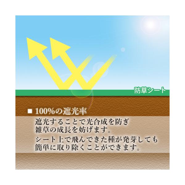 防草シート 高密度 300G 1m×30m 耐年数 約10年 頑丈 (管理S) 送料無料 3