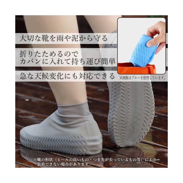 �쥤�󥷥塼�� ���졼 ���С� ���ꥳ�� ���ξ夫���������� �ɿ奷�塼�����С� �˽����� (����S) ����̵��