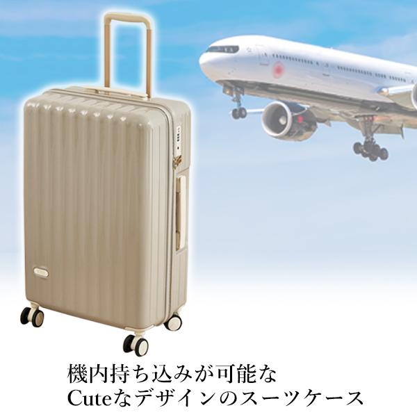 スーツケース グレー Sサイズ 機内持ち込み TSAロック 短途旅行 出張 キャリーケース キャリーバッグ 軽量 小型 (管理S) 送料無料 3
