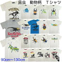 【大特価!在庫限りセール】【メール便送料無料】昆虫 動物 Tシャツ 子供 キッズ 半袖 夏の虫 カブトムシ クワガタ アニマル ロック風 LITTLE BEAR...