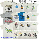 昆虫 動物 Tシャツ 子供 キッズ 半袖 夏の虫 カブトムシ クワガタ アニマル ロック風 LITTLE BEAR CLUB リトルベアークラブ 白 青 赤 緑 カラフル 星 ボーダー ポップ 男の子 90cm 100cm 110cm 120cm 130cm