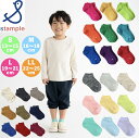 【送料無料】スタンプル stample アンクル ソックス ベビー キッズ 子供 ジュニア レディース 靴下 ソックス リブ ショート丈 くるぶし丈 アンクル丈...