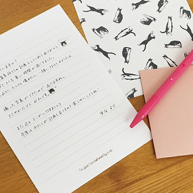 レターセット 手紙 便箋 封筒 おしゃれ かわいい 人気 動物 ギフト お祝い 誕生日 アイコン シール MATOKA マトカ Mite