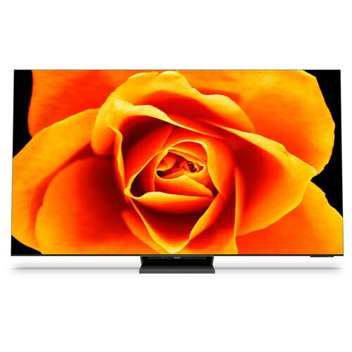 SHARP(シャープ) [大型特配]AQUOS 8T-C65DX1 [65インチ]