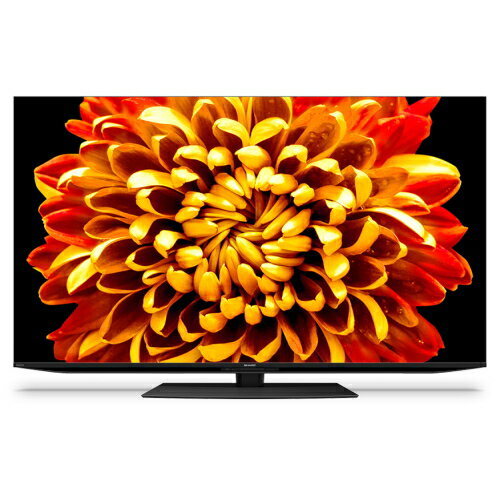 SHARP(シャープ) AQUOS XLED 4T-C55DP1 [55インチ]