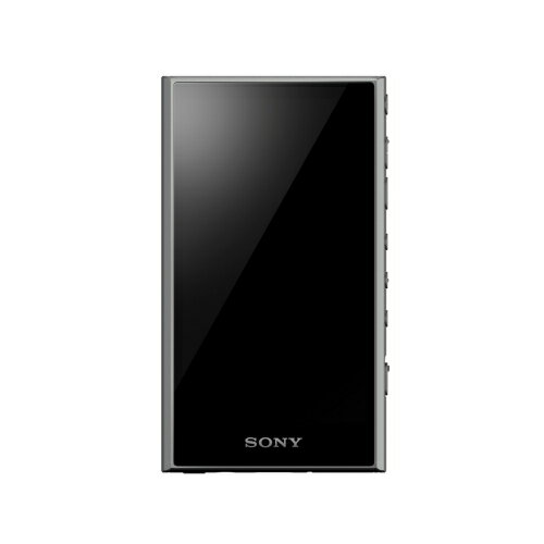 SONY(ˡ) NW-A306(H) 졼 [32GB]