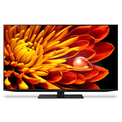 SHARP(シャープ) AQUOS XLED 4T-C55EP1 [55インチ]