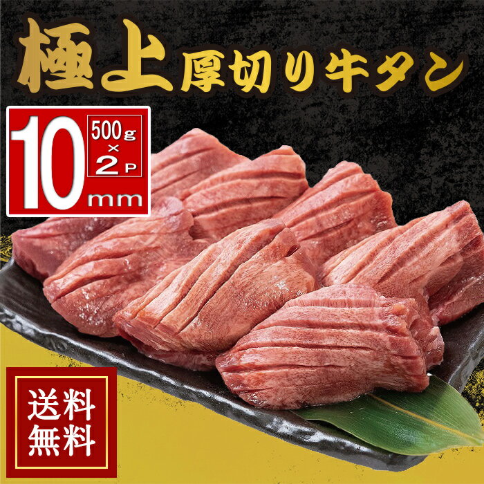 送料無料 [冷凍]【500g×