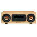 JVC Victor WOOD CONE EX-DM10