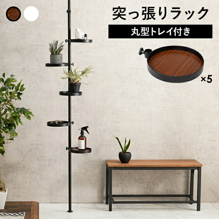 Rakuten - HAGIHARA [直送5]好きな場所で好きな高さに！突っ張り棒＆パーツ 6点セット(丸型トレイ)ポールラック KTR-3116-BB ブラウン×ブラック