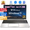 新品パソコン 第11世代 15.6型FHD1920*1080IPS液晶Intel N4020 N5095メモリ12GB SSD256GB可 Office付きパソコンMicrosoftOffice2021可 日本語配列テンキー/Webカメラ /USB 3.0 /miniHDMI 5GWIFI Bluetooth パソコン