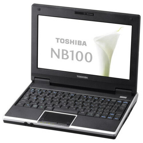 【送料無料】東芝 NetBook NB100 N270 1.6G/8.9W/WSVGA/1Gx1/120G/XP Home [PANB100NL]【数量限定】