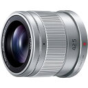 【送料無料】Panasonic H-HS043-S デジタ