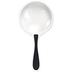 󥳡ȥʡ 140015 [롼 ] ĥե롼 60mm PKC-022ں߸ܰ:󤻡| ص  롼  