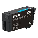 y݌ɖڈ:zyzEPSON SC13CL SureColorp CNJ[gbW/ 50mliVAj| CN CNJ[gbW CN^N  CN