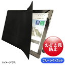 【送料無料】サンワサプライ LCD-ZE2LN102IPAD 2WAY覗き見防止フィルム（iPad 10.2インチ（全面）対応）【在庫目安:お取り寄せ】