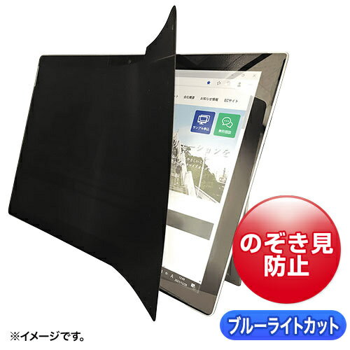 【送料無料】サンワサプライ LCD-ZE2LN129IPADP 2WAY覗き見防止フィルム（iPad Pro 12.9インチ対応）【在庫目安:お取り寄せ】