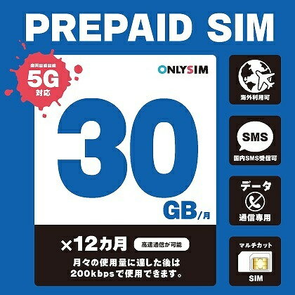 【送料無料】モバイル・プランニング 202306013012 楽天プリペイドSIM 毎月30GB 初月＋12ヶ月 SMS受信可【在庫目安:お取り寄せ】