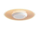 【送料無料】アイリスオーヤマ SCL-150L-LGP 小型シーリングライト 導光板 1500lm 電球色【在庫目安:お取り寄せ】