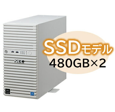 Express5800/D/T110k Xeon E-2314 4C/8GB/SSD 480GB*2 RAID1/W2022/タワー 3年保証 本製品は以下型番のパック商品、N8100-2902Y Express5800/T110k(4C/...