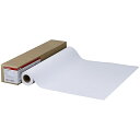 【送料無料】Canon 8939B005 コート紙2 LFM-CP2/ A1/ 95【在庫目安:お取り寄せ】| 消耗品 プロッター用ロール紙 プロッター プロッタ 大判 ロール ラベル