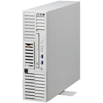 【送料無料】NEC NF8100-282Y iStorage NS100Tk Pentium Gold G6405/ 8GB/ HDD・4TB/ Windows Server IoT 2022 for Storage Workgroup Edition/ タワー 3年保証 【在庫目安:お取り寄せ】| パソ…