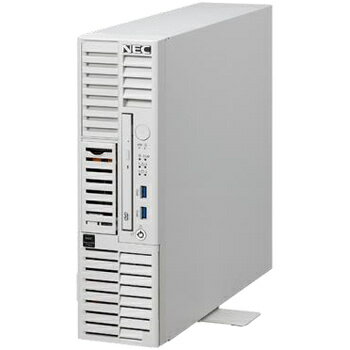 【送料無料】NEC NF8100-283Y iStorage NS100Tk Pentium Gold G6405/ 8GB/ HDD・8TB/ Windows Server IoT 2022 for Storage Workgroup Edition/ タワー 3年保証 【在庫目安:お取り寄せ】| パソ…