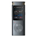 【送料無料】KingTech 4132V61301 VOITER SR302 Pro【在庫目安:僅少】