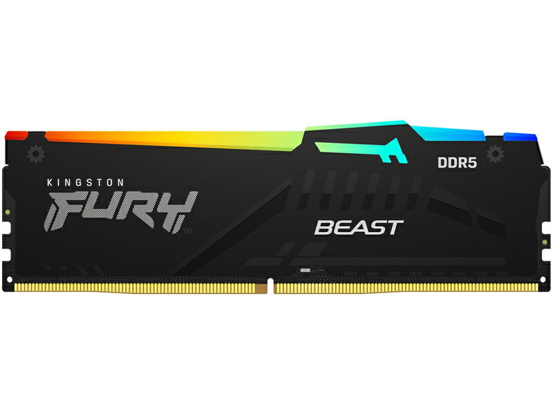 ̵ۥ󥰥ȥ KF556C36BBEA-8 8GB DDR5 5600MT/ s CL36 DIMM FURY Beast RGBں߸ܰ:󤻡