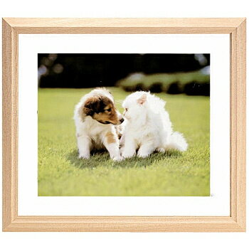 【送料無料】浅沼商会 402289 FUJICOLOR 木製額縁 M12 アクリル 全紙【在庫目安:お取り寄せ】