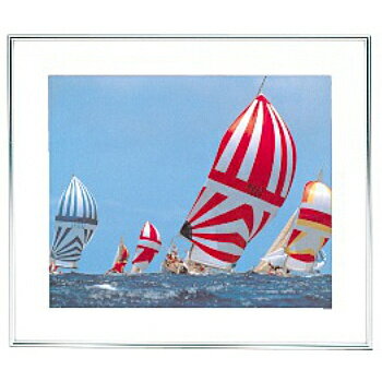 【送料無料】浅沼商会 301131 FUJICOLOR アルミ額縁 フォトフレーム A105A ワイド4切 シルバー【在庫目安:お取り寄せ】