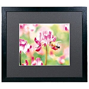 【送料無料】浅沼商会 406454 FUJICOLOR 木製額縁 ワイドマットフレーム M3000 A3【在庫目安:お取り寄せ】