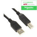 【在庫目安:あり】シュナイダーエレクトリック AP98117J APC Smart-UPS/ Smart-UPS RM用 USBケーブル| 電源関連装置 UPS 停電対策 停電 電源 無停電装置 無停電 オプション サプライ