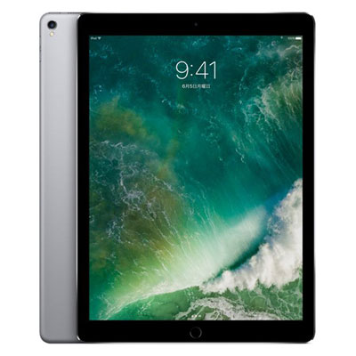 SIMåѡۡ2docomo iPad Pro 12.9 Wi-Fi+Cellular 256GB ڡ쥤 MPA42J/A A1671 Apple 3ݾ   ťޥۤȥ֥åΥ 