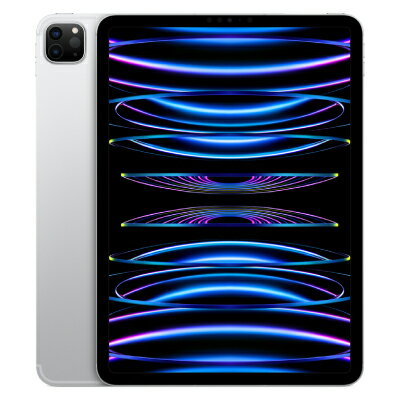 【第4世代】iPad Pro 11インチ Wi-Fi 256GB シルバー MNXG3J/A A2759 Apple 当社3ヶ月間保証 中古 イオシス
