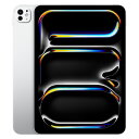 【第5世代】iPad Pro 11インチ Nano-textureガラス搭載 Wi-Fi+Cellular 2TB シルバー MWRT3J/A A2837【So...