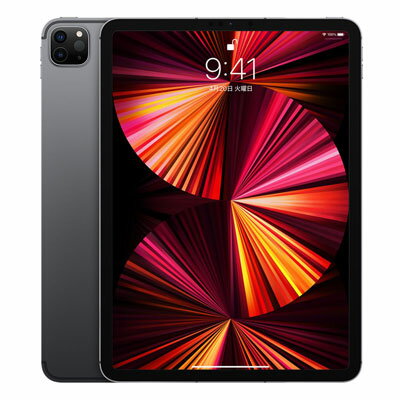 【第3世代】iPad Pro 11インチ Wi-Fi 512GB スペースグレイ MHQW3J/A A2377 Apple 当社3ヶ月間保証 中古 イオシス